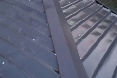 viber_image_2021-08-13_11-52-11-539